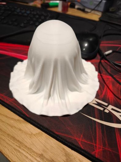 Covered Skull 3d printed Halloween model