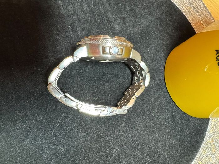 Citizen pro master (Ecozilla)