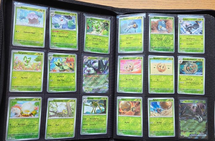 Pokemon Paldea Evolved Complete Master Set