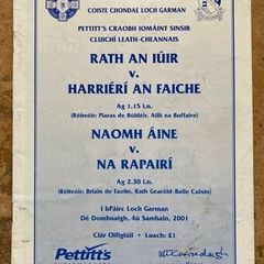 2001 Rathnure v Harriers & St Anne's v Rapparees - GAA Wexford Hurling Club S.F Programme