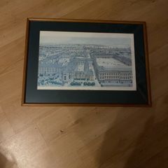 pictures