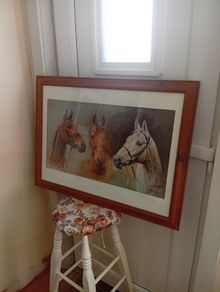 Red rum .arkle and desert orchid picture