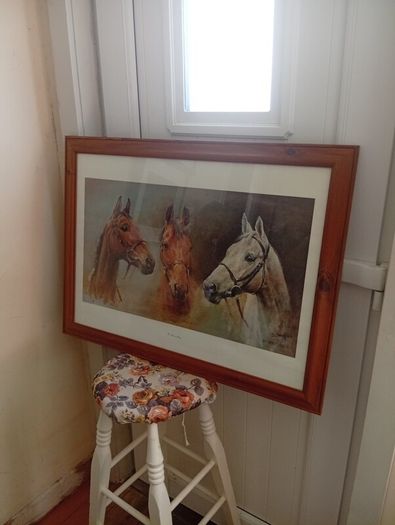 Red rum .arkle and desert orchid picture