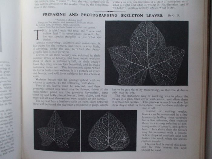 SALE!  THE AMATEUR PHOTOGRAPHER - 1903 - The Popular Illustrated Journal for All Photographers - Volume XXXVIII - July to December 1903