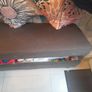 Seat bench with storage Image 2