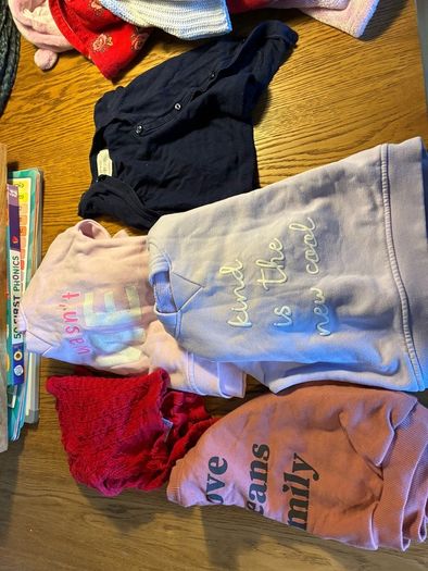 12-18 Months girls clothes (bundle)