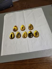Insects in amber lucite 10 each