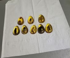 Insects in amber lucite 10 each
