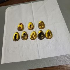 Insects in amber lucite 10 each