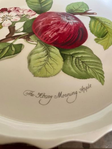 Large Portmeirion Pomona Hoary Morning Apple 10 in 27cm Cottagecore Oven Tart Quiche 1980s