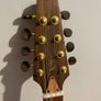 Irish Bouzouki by APC Image 3