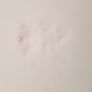 Antique Wedgewood White China Meat Platter Image 5