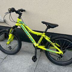 Kids Bike (20 inch)