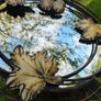 vintage mirror Image 3