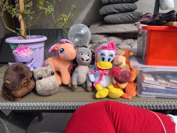 teddies