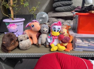 teddies