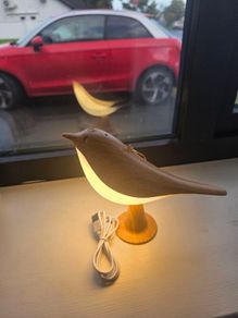 Beautiful LED Bird Night Light Wooden Style