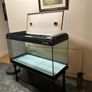aquarium Image 2