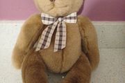 Teddy bear