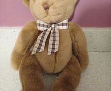 Teddy bear