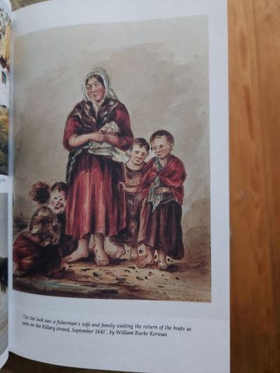 The Irish Famine. An Illustrated History By Helen Litton. First Edition Paperback In Good Condition.