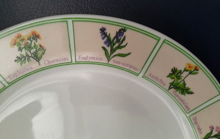 Side Plate - Wild Flowers Design