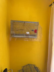 Bird cage