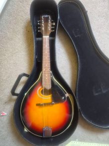 Mandolin