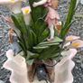 Ornamental water fountain Image 3