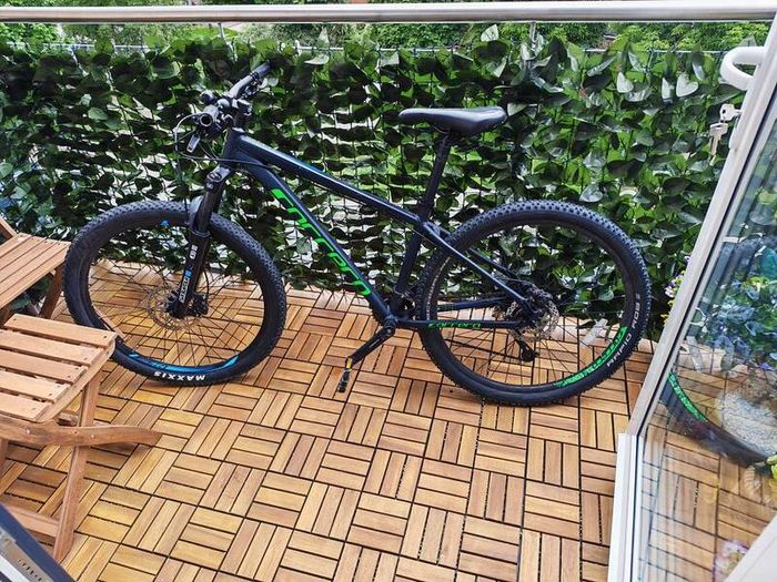 carrera bike