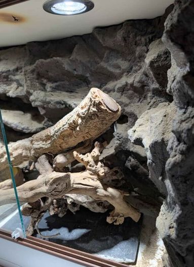 Reptile Vivarium/Tank