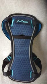 Care Safe Crash Tested Dog Harness