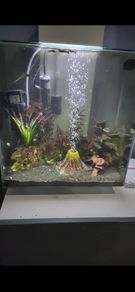 Aquarium