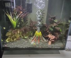 Aquarium