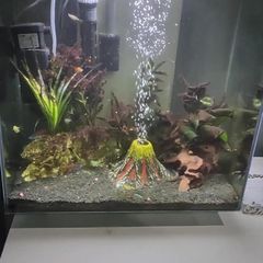 Aquarium