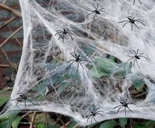 Halloween Spider Web Decoration,100g Spider Web Halloween Decoration with 20pcs Fake Spiders Web Cobweb,Stretchable Halloween Cobwebs for Halloween Decorations Haunted House Halloween Party
