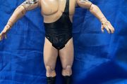 wrestler big show