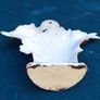 19th Century Vintage cast iron doorstop Image 9