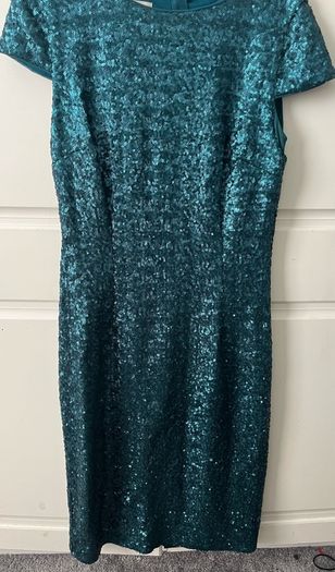 Hobbs Dress