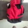 small dog harness Image 3