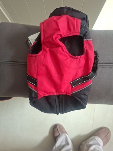 small dog harness