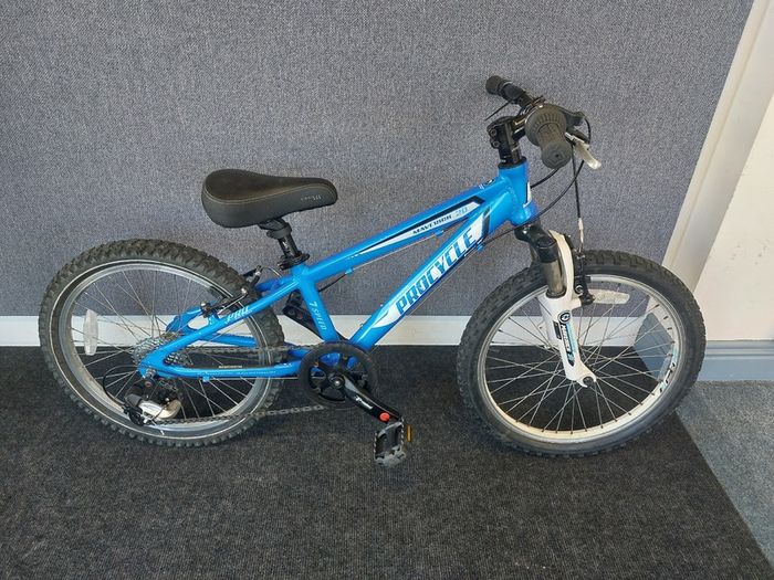 Kid's bike 20