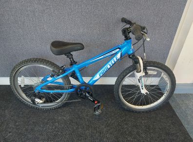 Kid's bike 20
