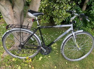 Trekking bike