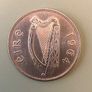 An Irish Hunter From 1964, Free Post Image 4