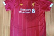 Liverpool Jersey (Large)