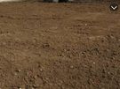 digger for hire with driver Image 2
