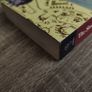 The Stolen Village: Baltimore And The Barbary Pirates ! 2006 ! by O'Brien Press ! Image 10