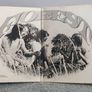 LP Vinyl Record - Forest - Forest Image 2