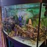 160 litre fish tank with fish Image 4